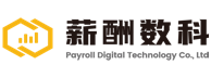 薪酬数科